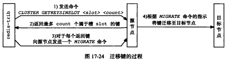 cluster_3