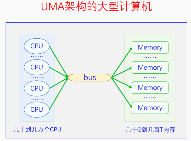 UMA